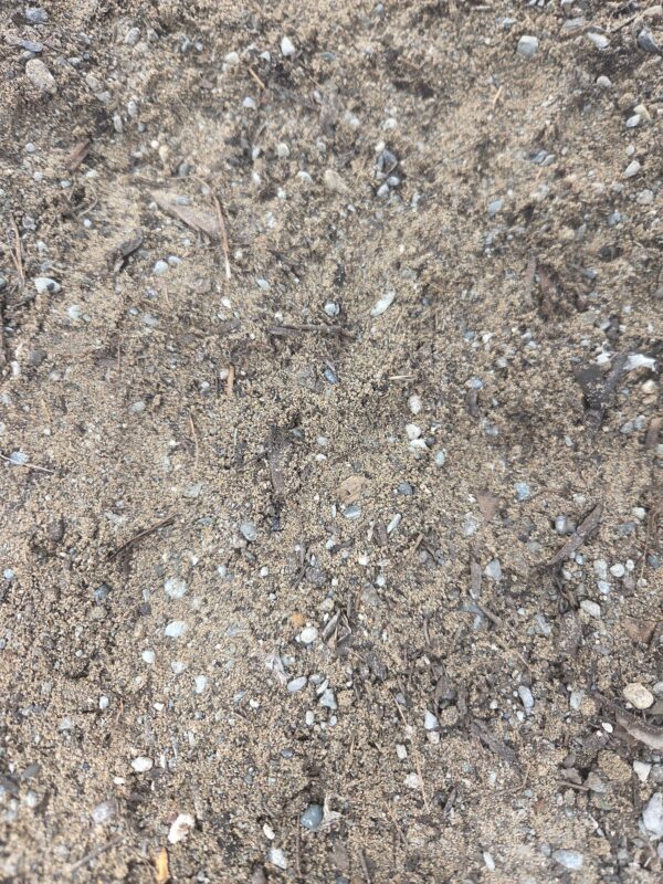 Organic Turf Underlay