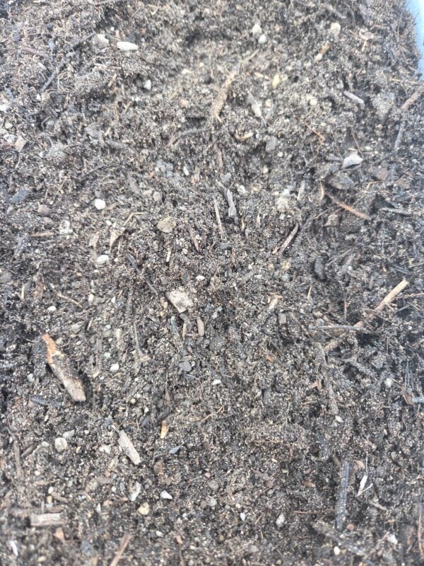 Premium Garden Mix