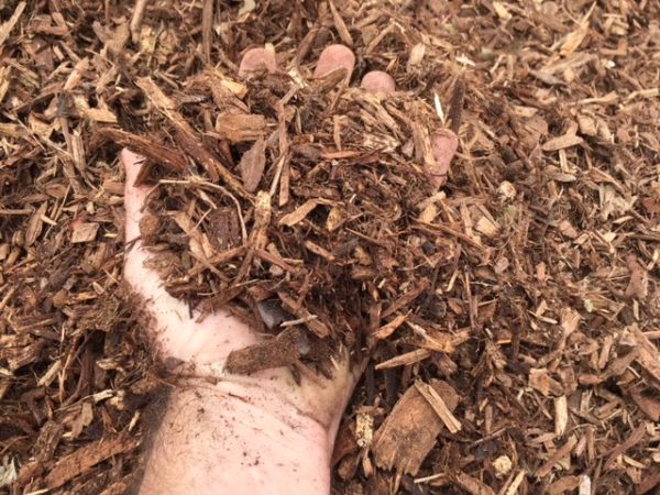 LandscapeGardenMulch