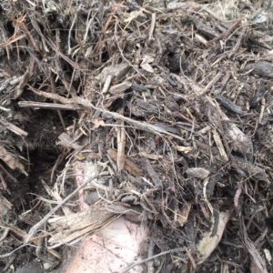 NativeForestMulch