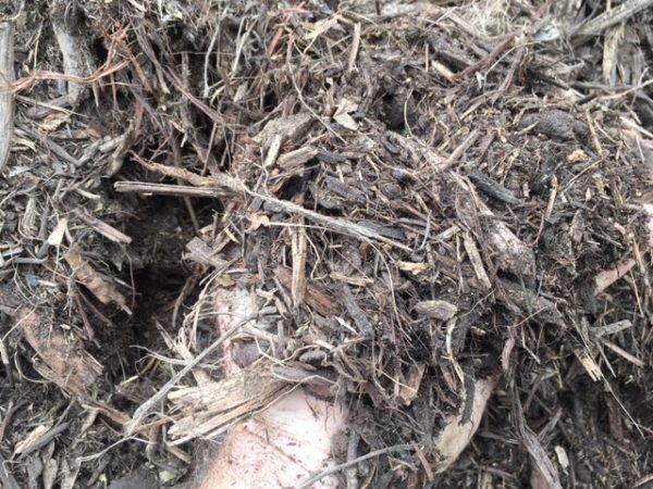 NativeForestMulch