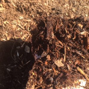 PremiumGardenMulch