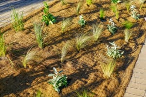 mulch erosion