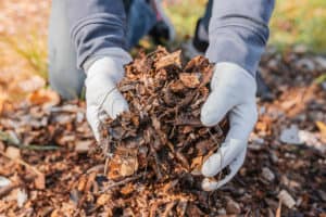 mulch head