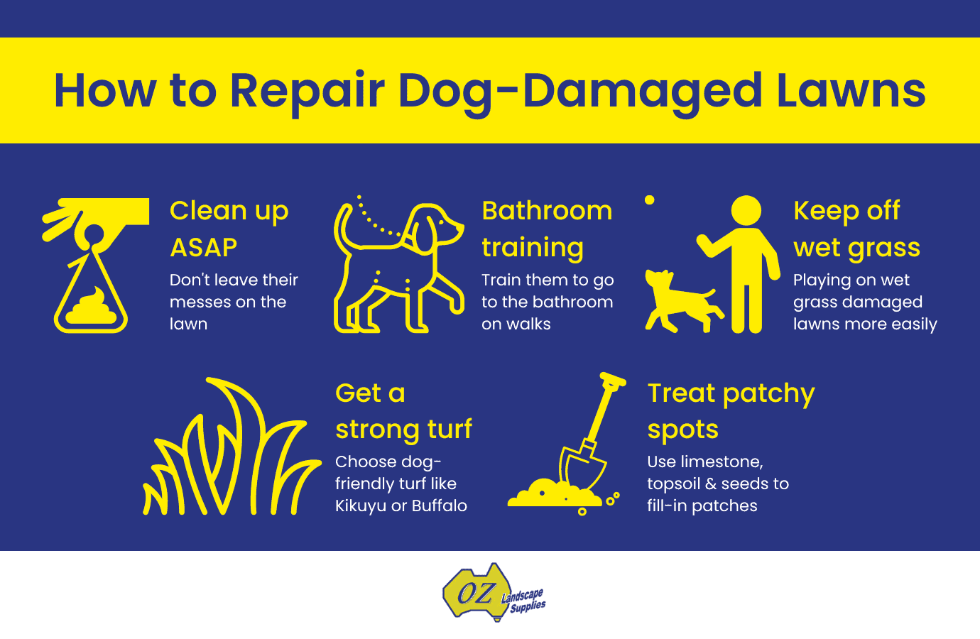 5 Tips to Repair DogDamaged Lawns Oz Landscape Supplies