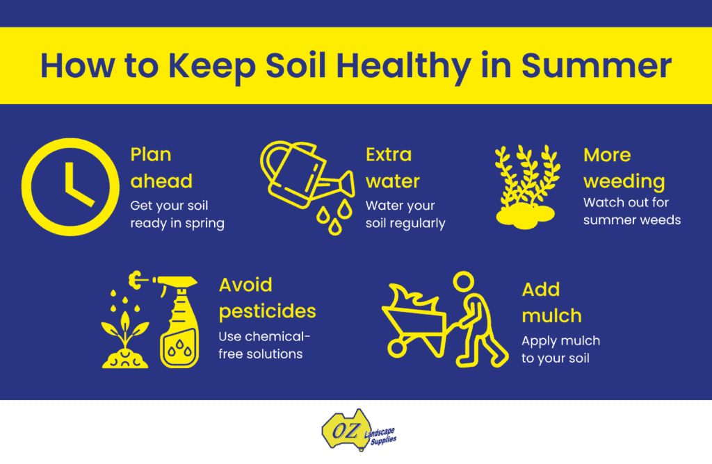 OLS Summer Soil Guide 20221111 1