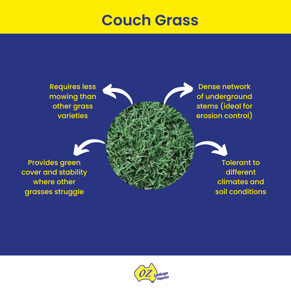OLS Couch Grass 20230607
