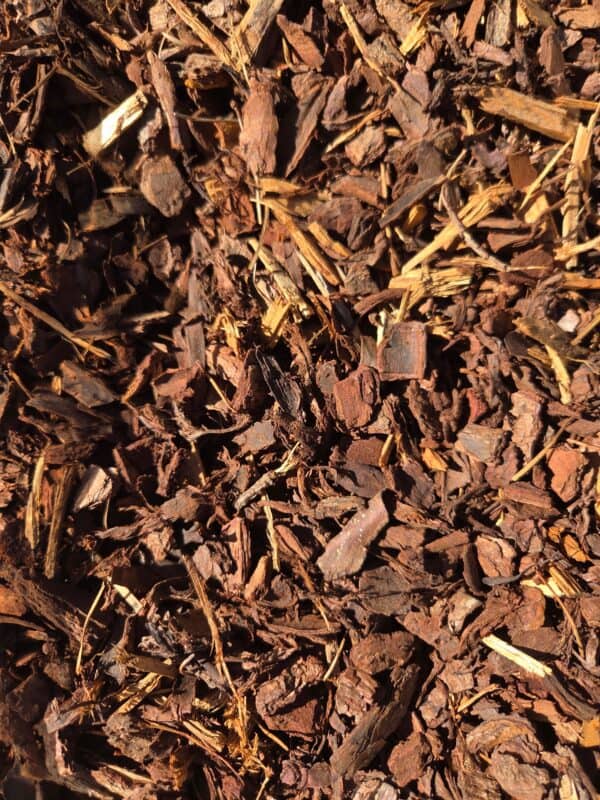 Pine Bark 16mm
