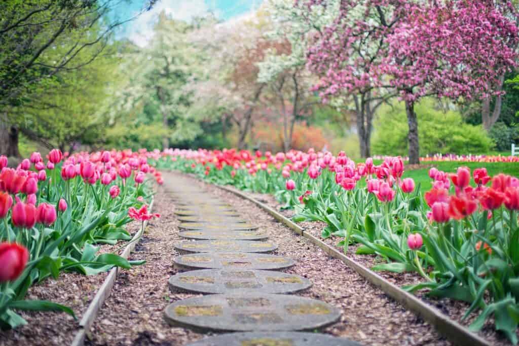 garden pathway