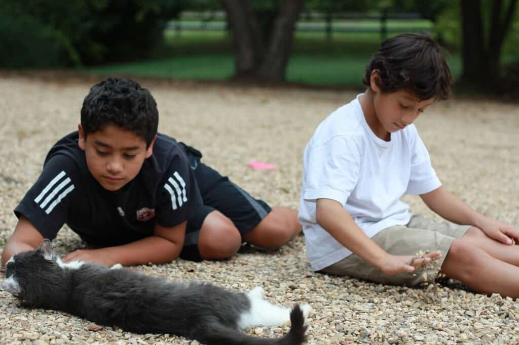 brothers sitting on a gravel driveway